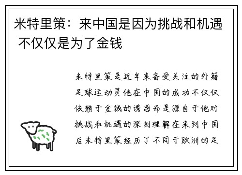 米特里策：来中国是因为挑战和机遇 不仅仅是为了金钱