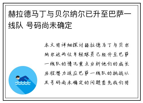 赫拉德马丁与贝尔纳尔已升至巴萨一线队 号码尚未确定
