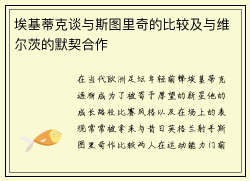 埃基蒂克谈与斯图里奇的比较及与维尔茨的默契合作